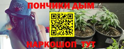 молекула духа Среднеуральск