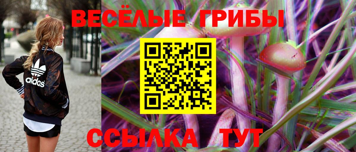 Галлюциногенные грибы Psilocybe  Вход с VPN  Нефтекумск 
