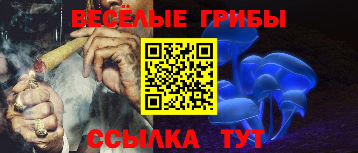 Псилоцибиновые грибы Psilocybe Нефтекумск